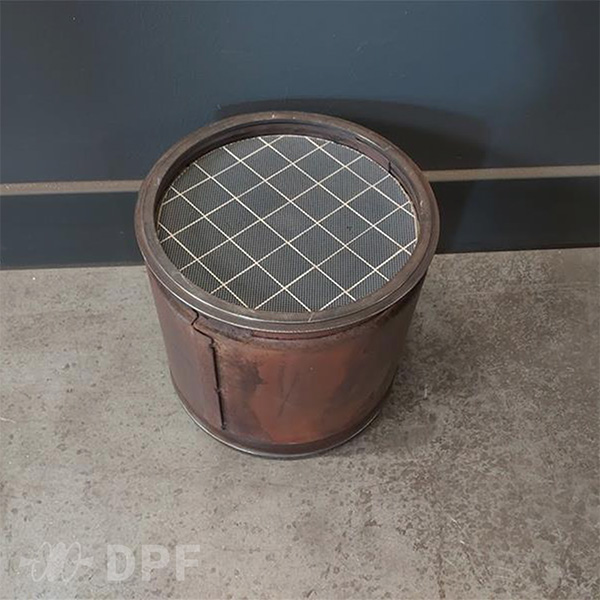 OE-2137443-DPF-DAF-LF-VDL-Citea-reinigung und reperatur