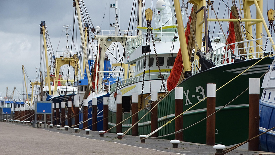 Fischerboote im Hafen