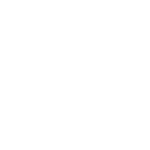 Maritiem sector