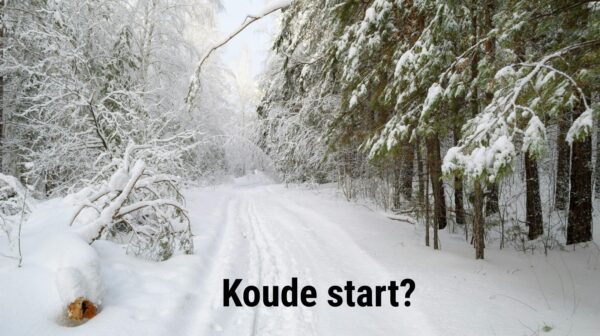 Wat is het effect van een koude start bij winterweer op een roetfilter en katalysator